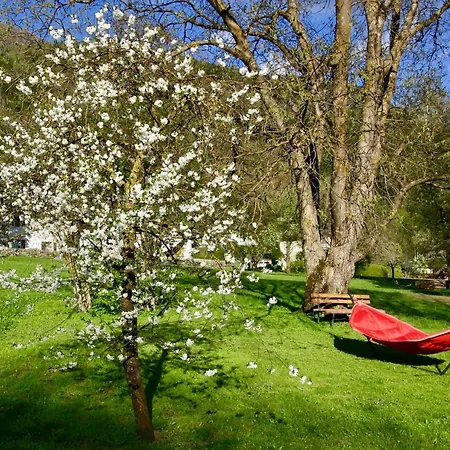 Spiele- Und Buchhotel Tschitscher Nikolsdorf